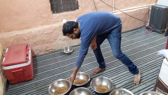Mythological author Nilesh Kumar Agarwal celebrated Diwali by sponsoring a one-time meal for stray dogs
