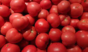 Tomato Prices Surge to ₹259/kg in Delhi; May Touch ₹300/kg as Supply Disruptions Continue