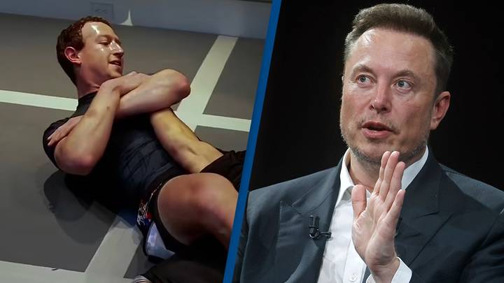 "Zuckerberg Calls Off Cage Fight Speculation, Musk Responds with 'Chicken' Jab"