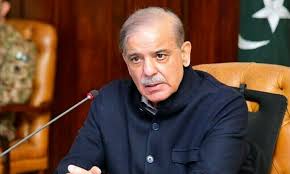 Pak PM Shehbaz Sharif Orders Joint Probe Into Attack On Chinese Nationals