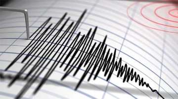 Magnitude 6.6 Earthquake Strikes Eastern Indonesia, No Tsunami Alert Issued