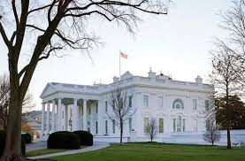 Driver Dies After Crashing Car Into White House Gate, Investigation Underway