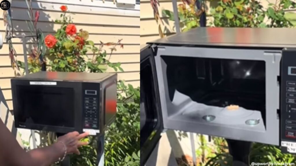 Innovative Recycling: New Yorker's Microwaved Mailbox Goes Viral