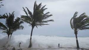 Hurricane Beryl Makes Landfall Near Matagorda, Texas: State of Emergency Declared