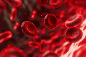 Scientists Discover New Blood Group System, Solving 50-Year Mystery of AnWj Antigen