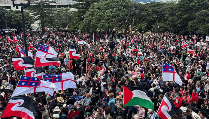 Thousands of Kiwis Rally in Historic Protest Against Treaty Principles Bill