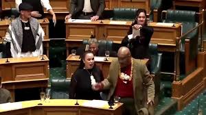 Youngest New Zealand MP's Fiery Haka and Protest Over Indigenous Treaty Bill Goes Viral